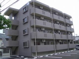 ʪ�磻�᡼��