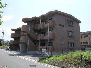 ʪ磻᡼